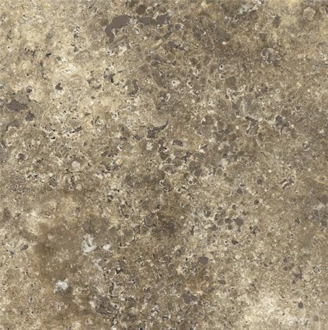 Amazon Silver travertine